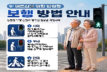 어르신을 위한 안전한 보행 방법과 착한운전 캠페인 안내드립니다.